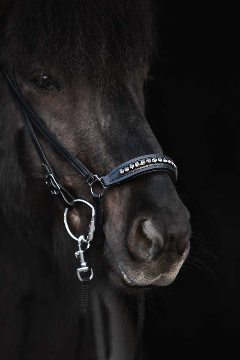 Hanoverian Noseband "DIAMOND" with dark metal buckles and anthracite rhinestones - animondo.dk - NR-DIA-ANT