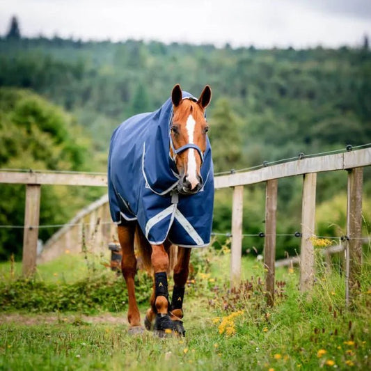 Horseware Amigo - Bravo 12 Plus Regndækken m. hals & V - Front - 100 gram - Navy - animondo.dk - AARPLF - BJI0 - 45