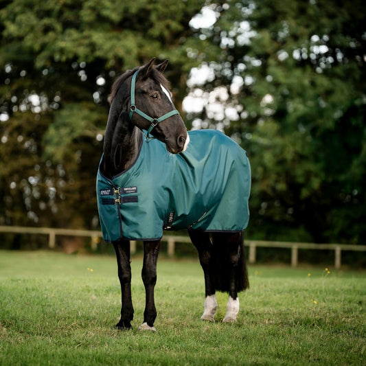 Horseware Amigo - Ripstop Vinterdækken 900D - 200 gram - Grøn - animondo.dk - AARAG4 - GBI0 - 66