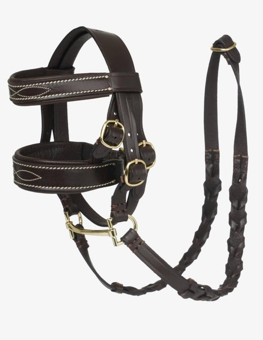 LeMieux Toy Pony Trense - Brun m. flet - animondo.dk - IT062950
