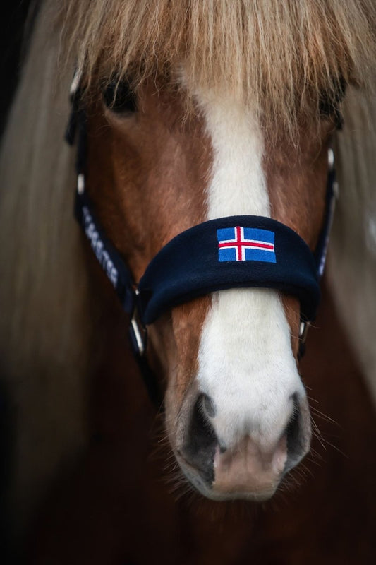 Top Reiter - "KLAKI ICELAND" Grimesæt - Sort/Blå - animondo.dk - HAL - STR - KLK - BU - ICE
