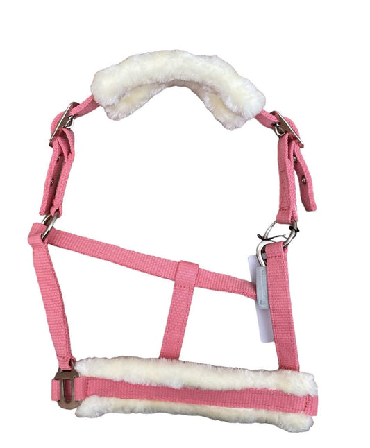 Waldhausen First Halter - Light Pink - animondo.dk - 5051498-MSH