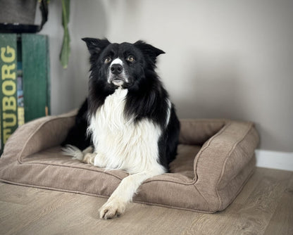 Barkly Hektor Ortopædisk Hundeseng - Sand - animondo.dk