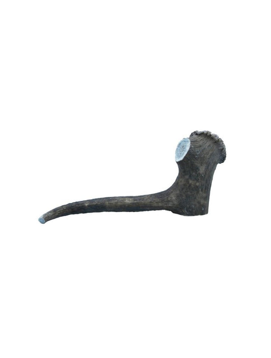 Deer Antler XXLarge 220-300g - animondo.dk