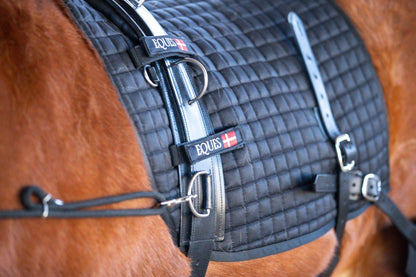 Eques Core Trainer Longesystem - animondo.dk