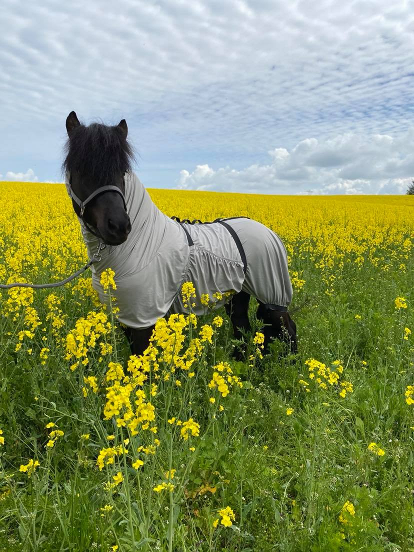 Eques Eksemdækken - animondo.dk