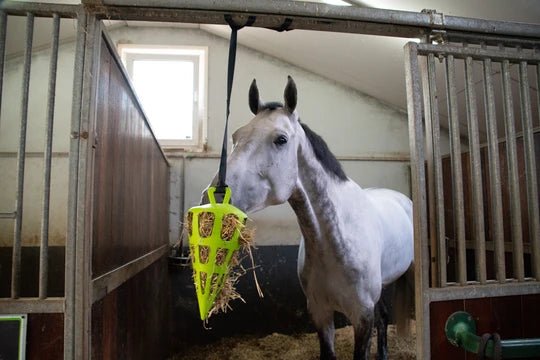 Hay Slowfeeder fun and flex 22 cm Green carrot - animondo.dk