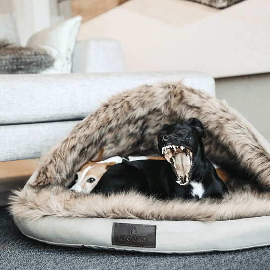 Kentucky Dog Bed Igloo - animondo.dk