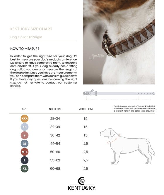 Kentucky Dog Collar Triangle - animondo.dk