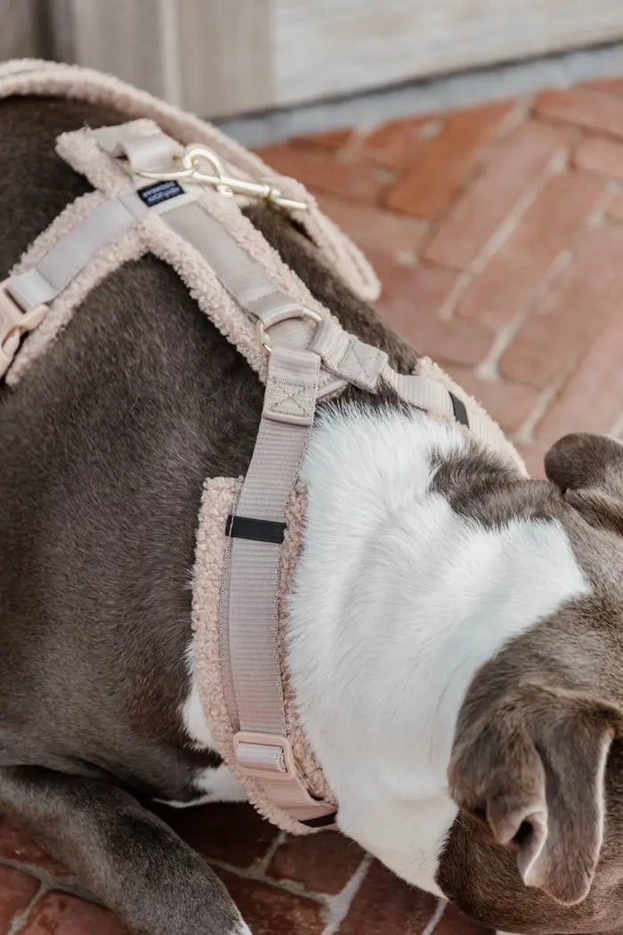 Kentucky Dog Harness Active Teddy Fleece - Beige - animondo.dk