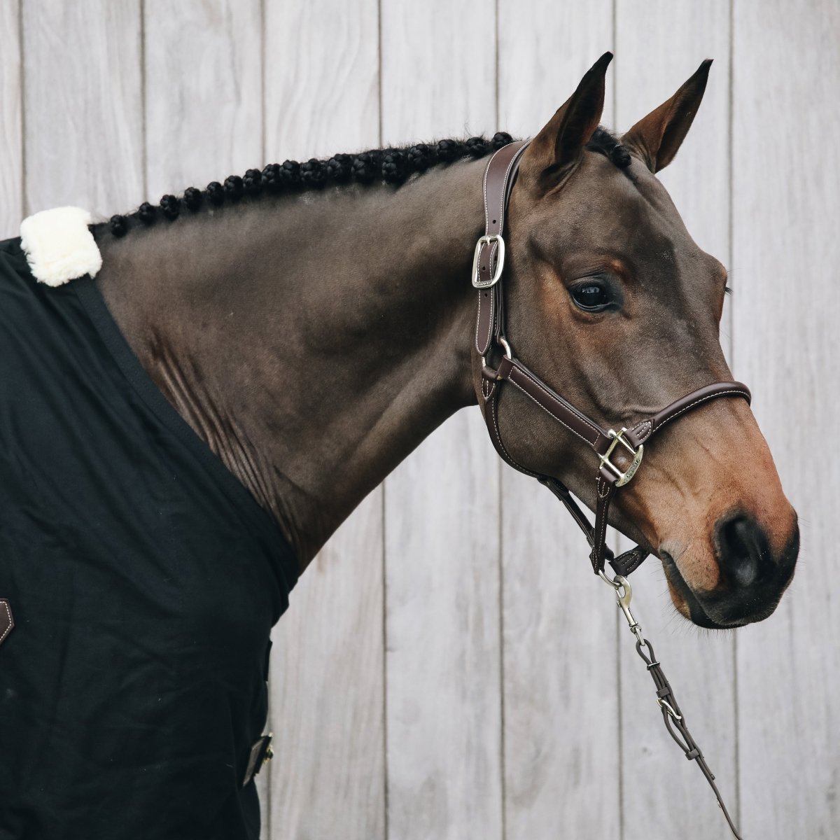 Kentucky Horsewear Anatomisk Grime i imiteret læder - Brun - animondo.dk