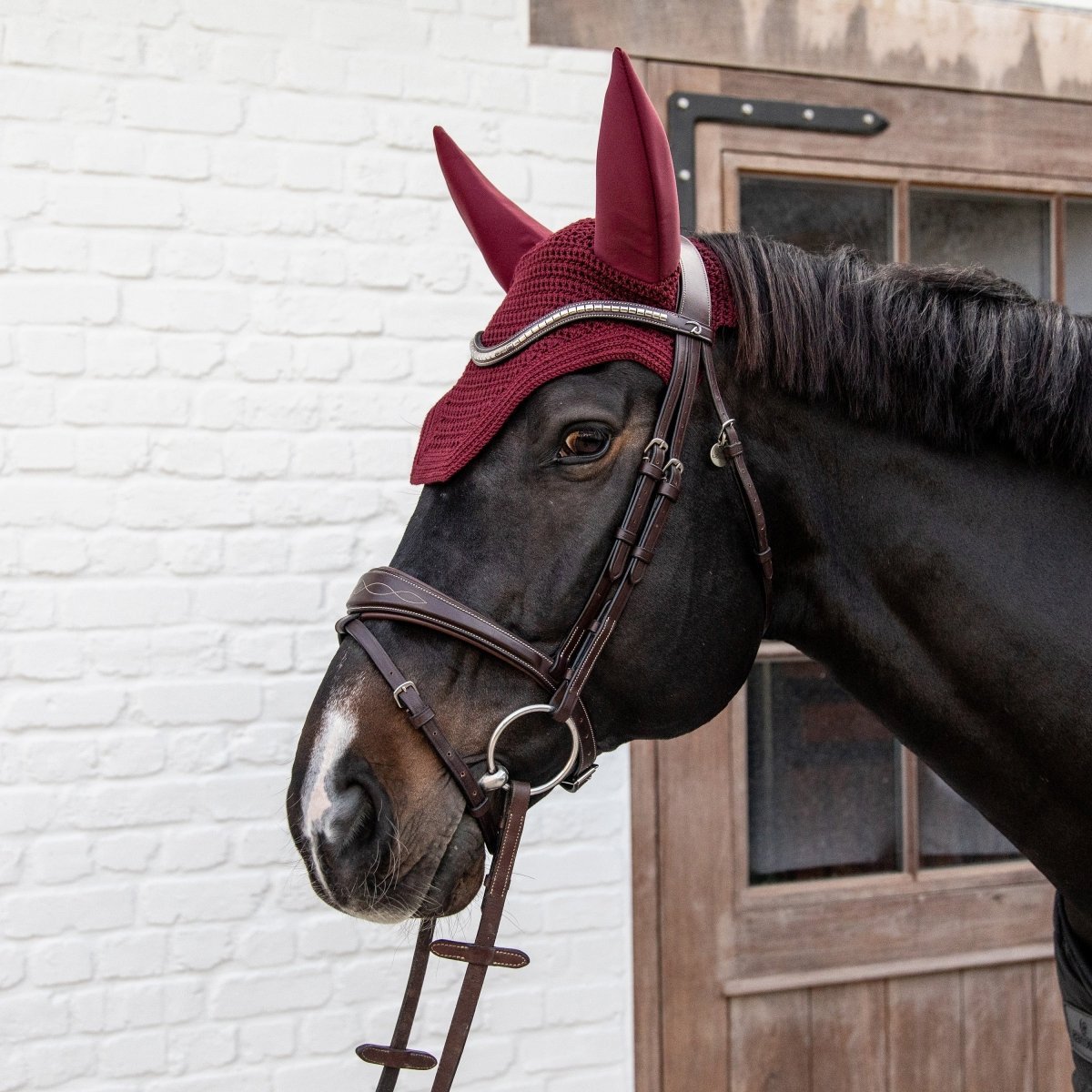 Kentucky Horsewear - Wellington Soundless Hut - Bordeaux - animondo.dk - 42609 - 17 - F