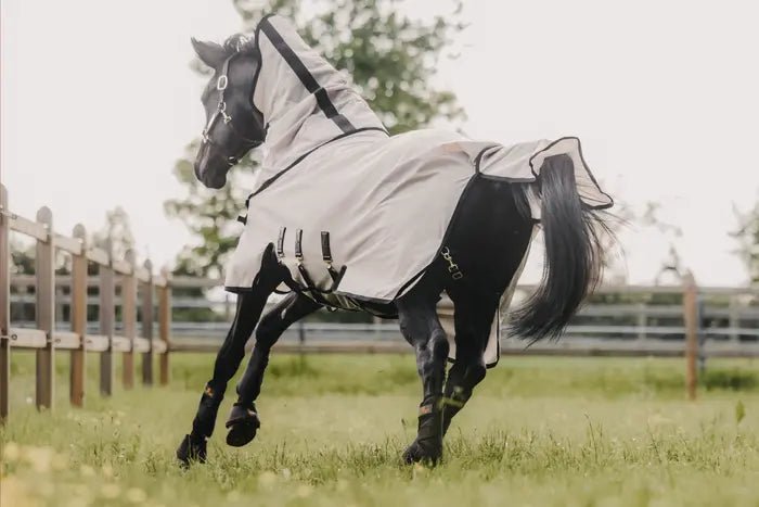 Kentucky Mesh Fly Rug - animondo.dk