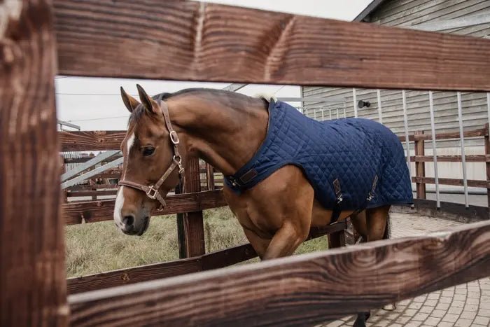 Kentucky Walker Rug - Navy - animondo.dk