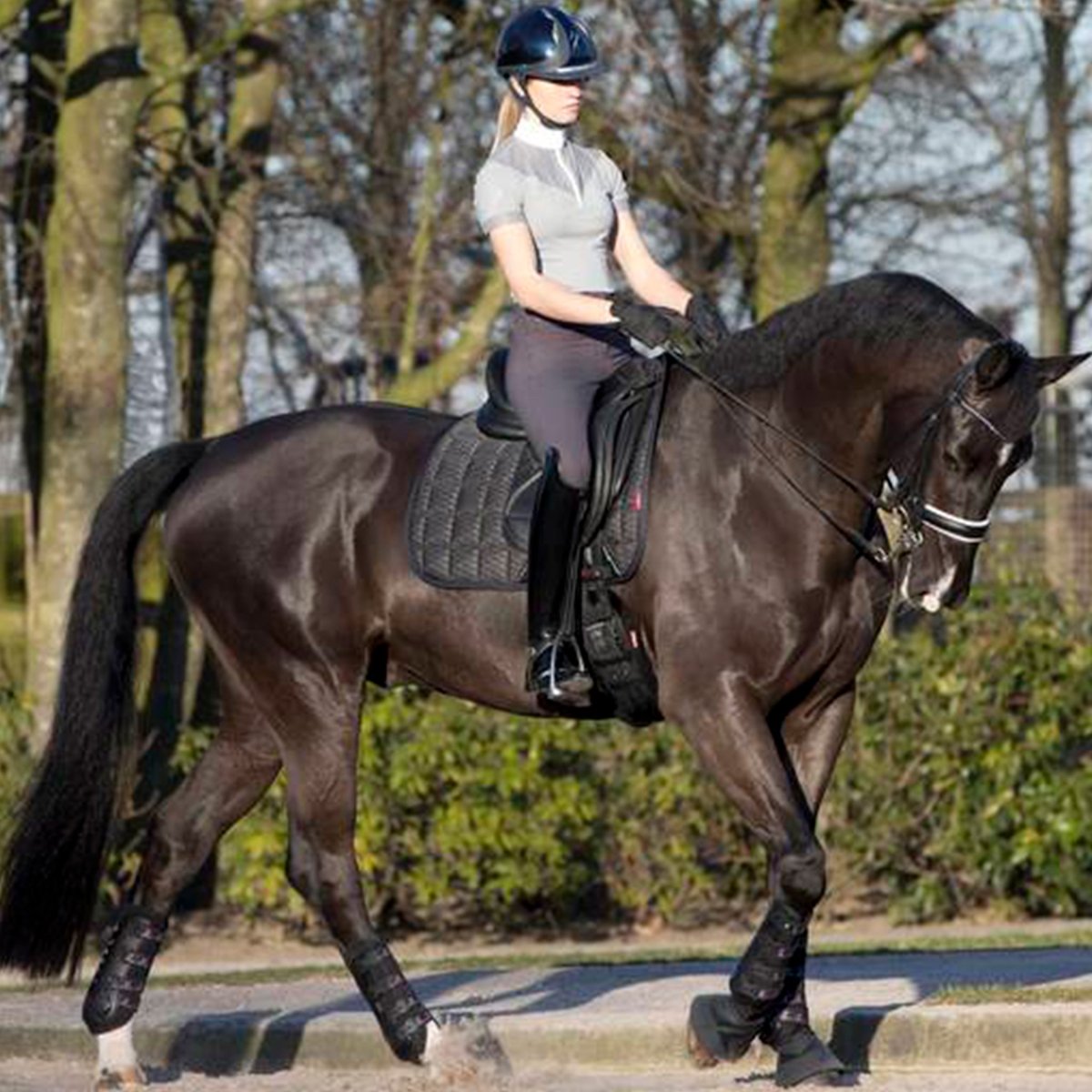 LeMieux Carbon Mesh Dressage Square Sadelunderlag - Sort - animondo.dk