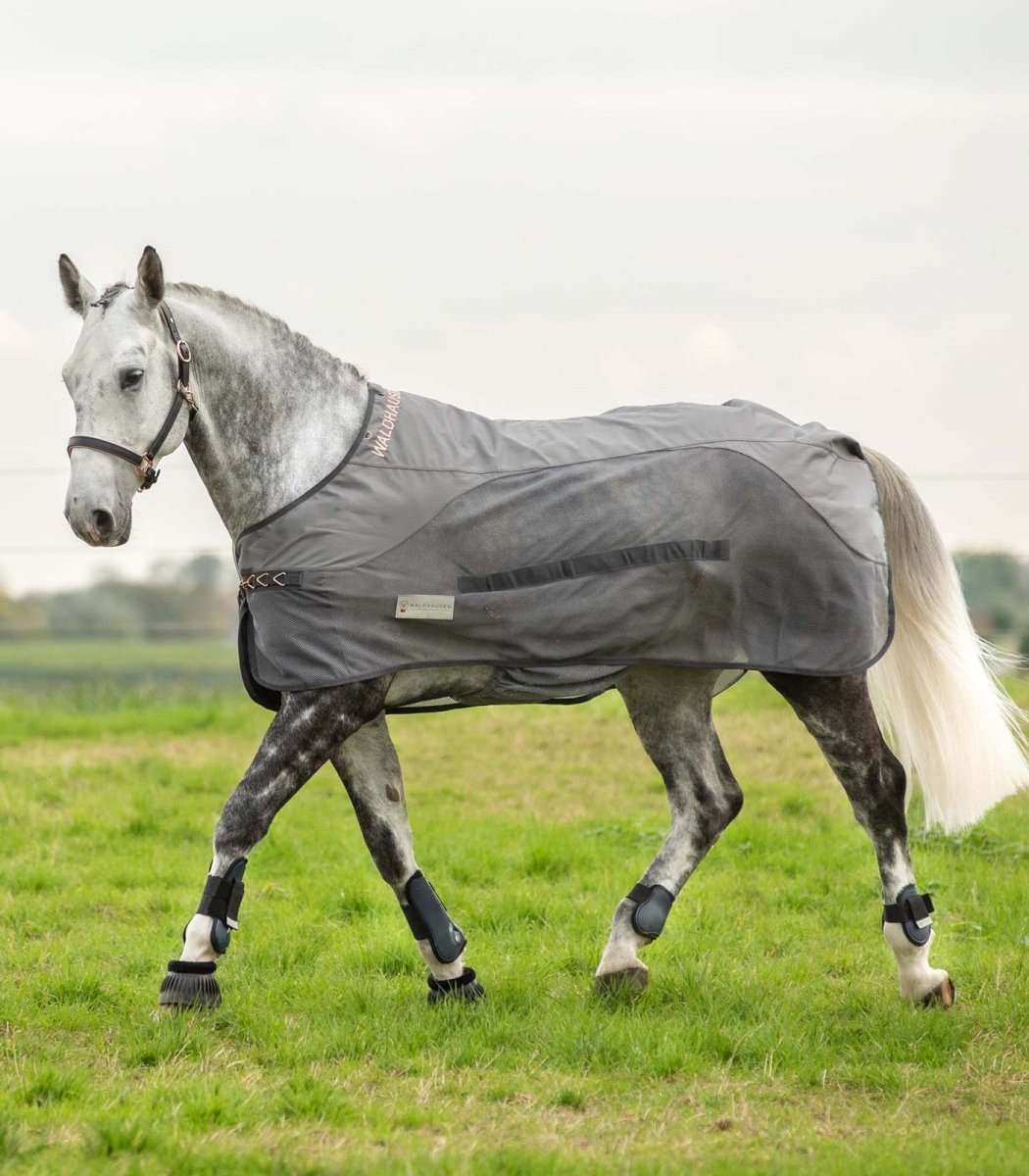 Waldhausen Comfort Rainsheet-Fly Rug - animondo.dk