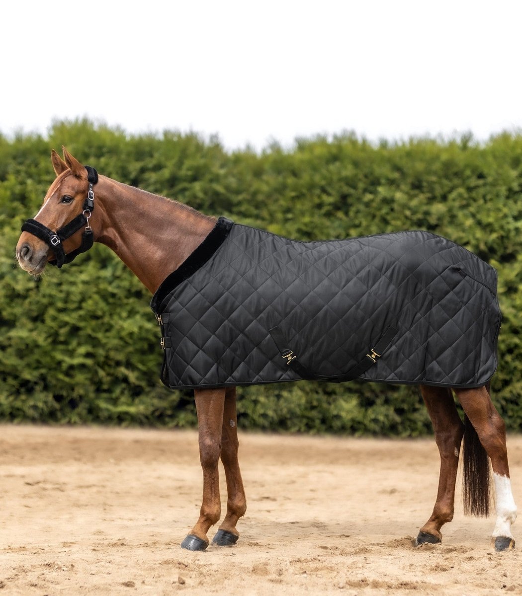 Waldhausen Exclusive Travel Rug - animondo.dk