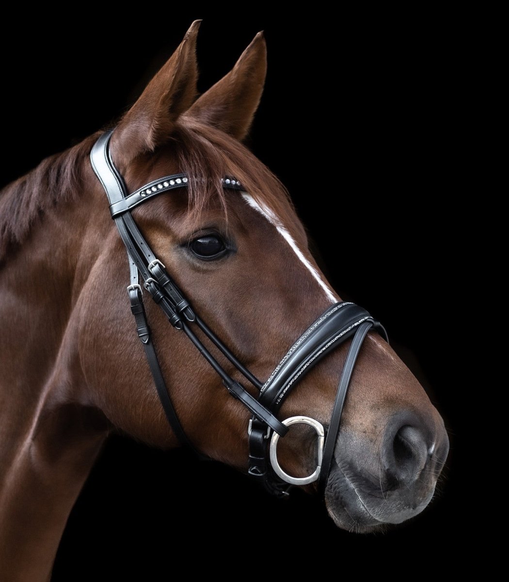 WALDHAUSEN S-LINE SNAFFLE BRIDLE - GLAMOUR - animondo.dk